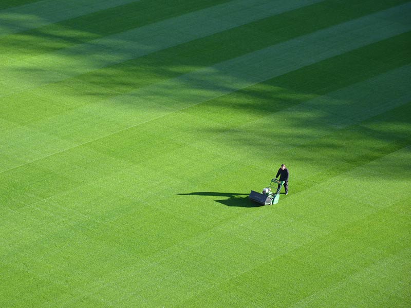 Golf Course Maintenance & Turf Care